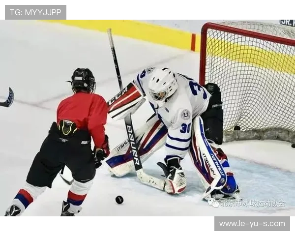 冰球季后赛关键战术解析:如何通过精准反击掌控比赛节奏 冰球季后赛关键战术解析:如何通过精准反击掌控比赛节奏